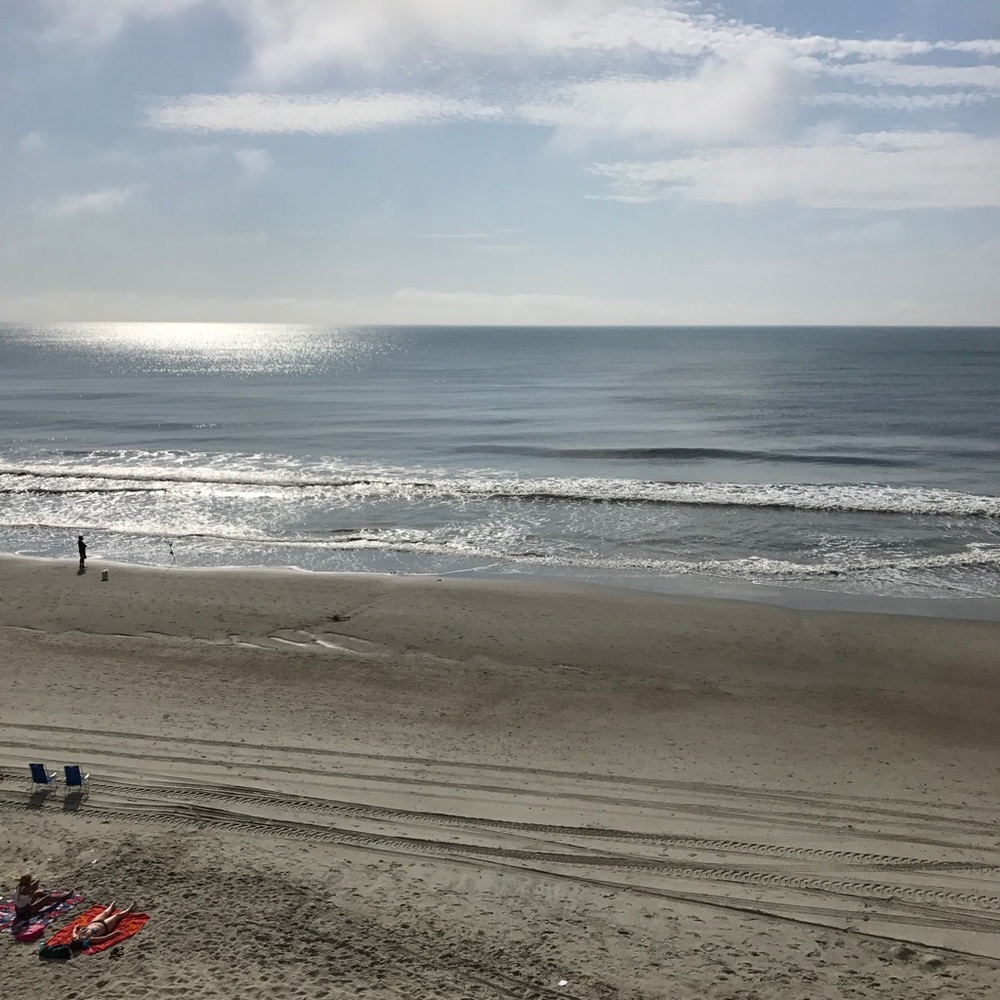 Meet your Posher, Elaine