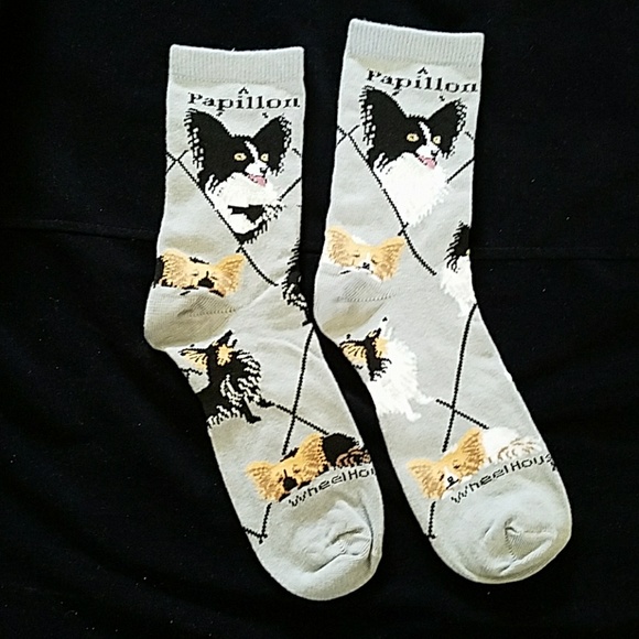 🐶 New PAPILLON dog socks - Picture 2 of 7