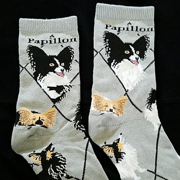 🐶 New PAPILLON dog socks - Picture 3 of 7