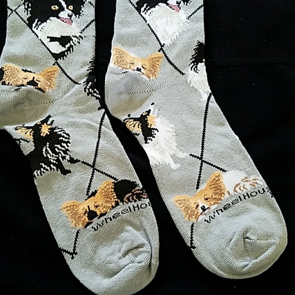 🐶 New PAPILLON dog socks - Picture 4 of 7