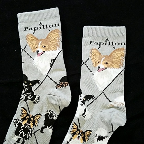 🐶 New PAPILLON dog socks - Picture 5 of 7