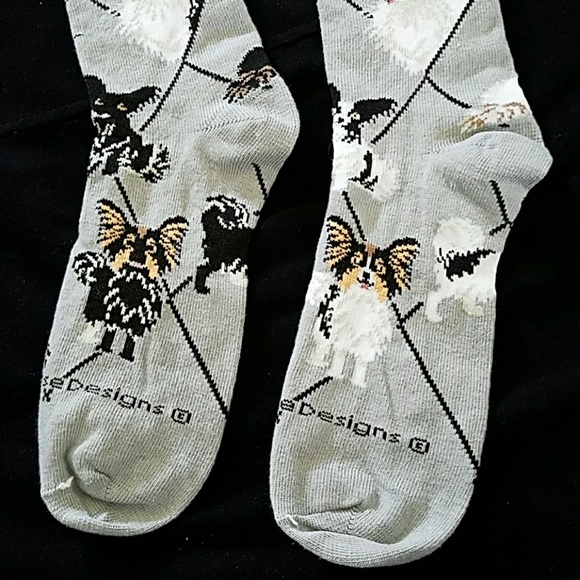 🐶 New PAPILLON dog socks - Picture 6 of 7