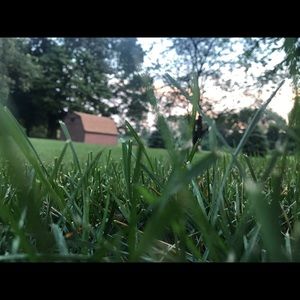 Meet your Posher, Wissam