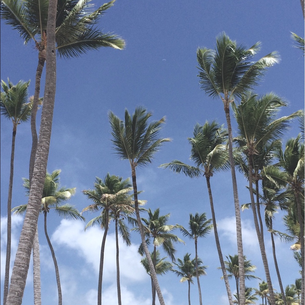 Meet your Posher, Paula