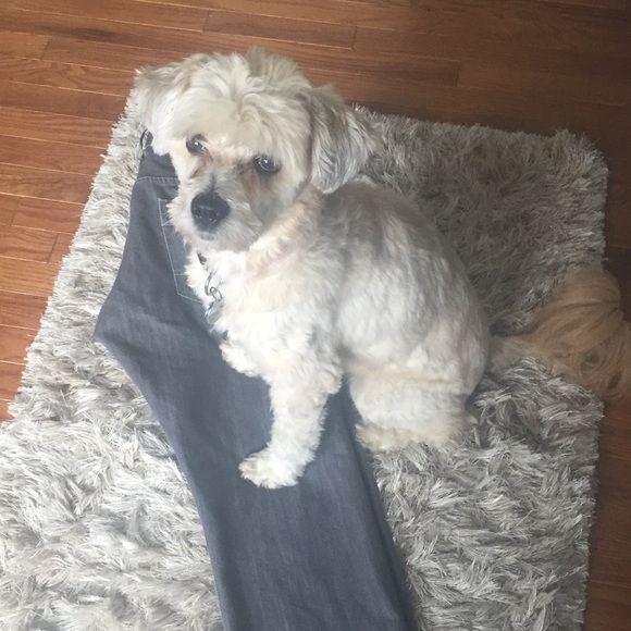 Meet your Poshers, Sara & Sergi (and Lily) - Picture 2 of 2