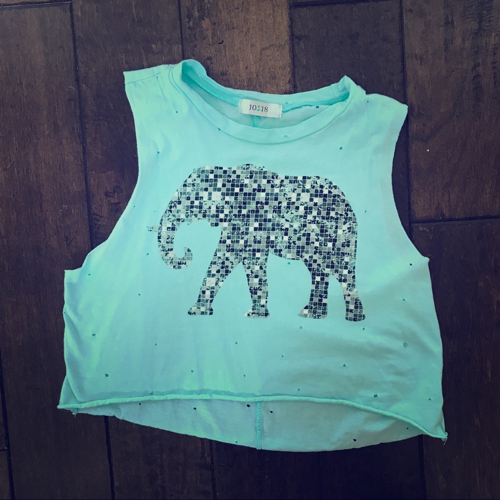 Urban Outfitters Crop Top Tank