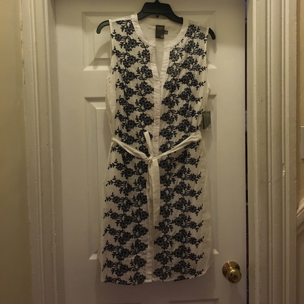 Never worn shirt dress by Taylor- built in lining