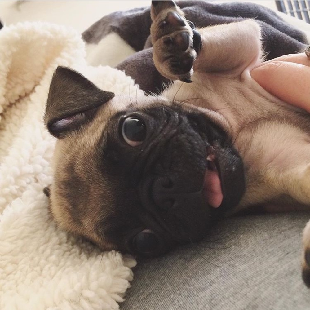 Hello! Welcome to my closet! 🦋