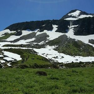 Meet your Posher, Ping