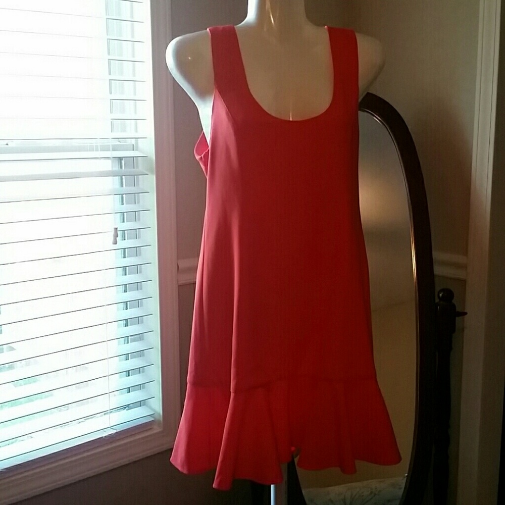 Gorgeous Ruffle Mini Dress NWT
