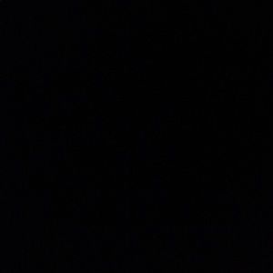 Meet your Posher, Chasity