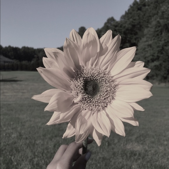 Meet your Posher, Nadia - Picture 1 of 1