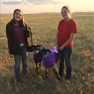 Meet your Posher, Bethany