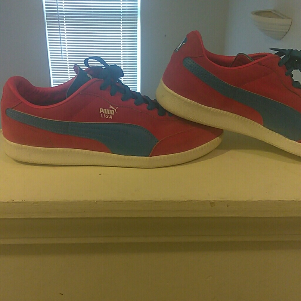 Red and blue pumas
