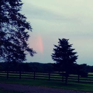 Meet your Posher, Kayleigh