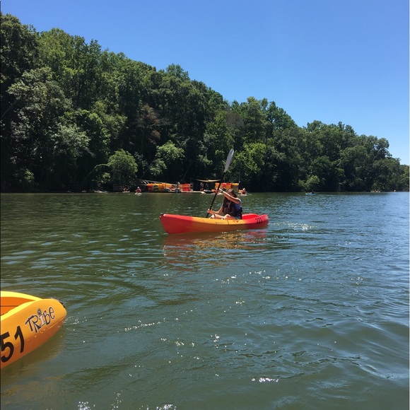 Meet your Posher, Taylor - Picture 1 of 1