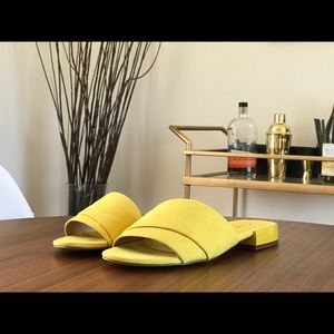 Zara Yellow Monochrome Slides