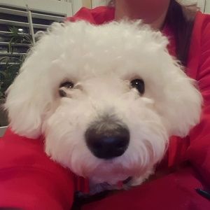 Meet your Posher, Alexandra