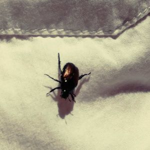 Meet your Posher, Keith