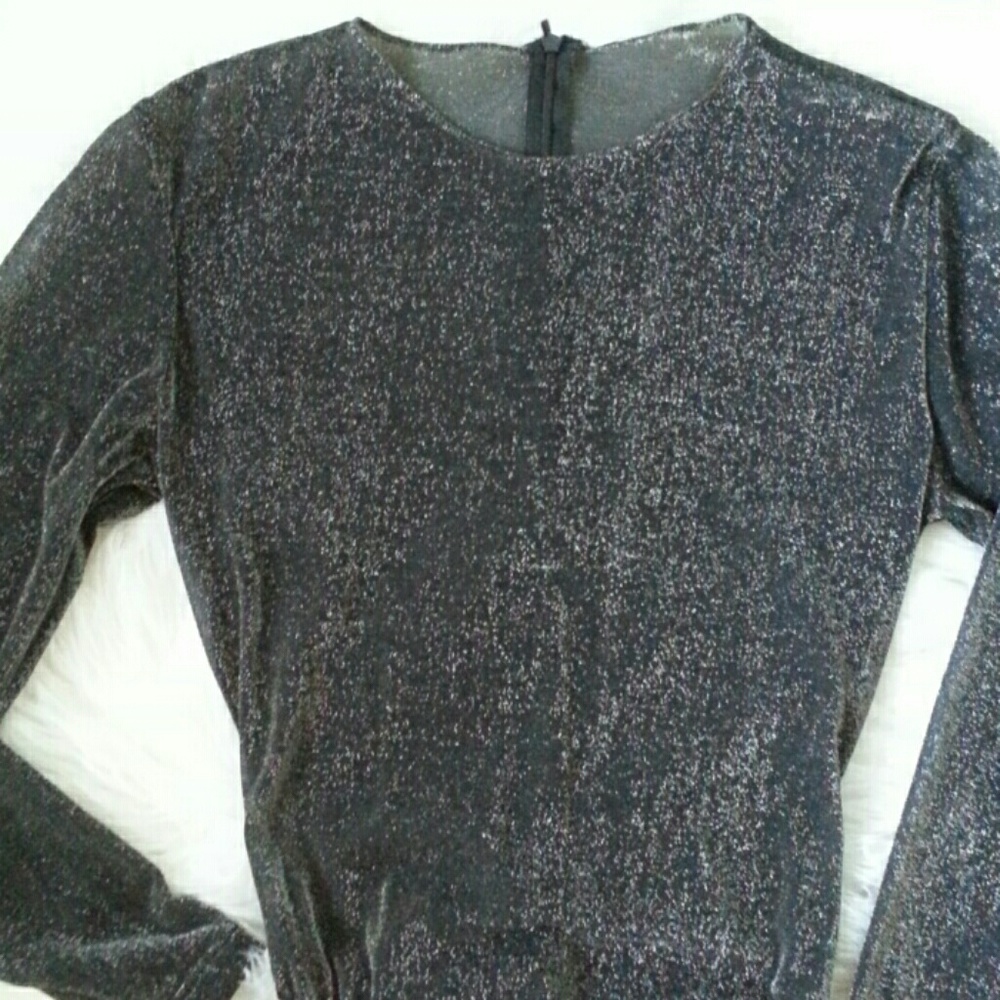 Donna Karen Intimates Sheer Shimmer Bodysuit NWOT.