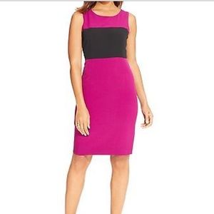 Kasper New Winter Berry Purple Colorblock Black