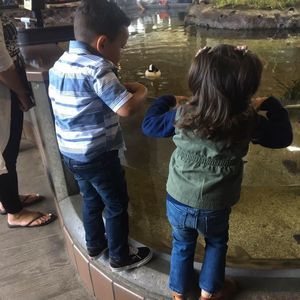 Meet your Posher, Mayra