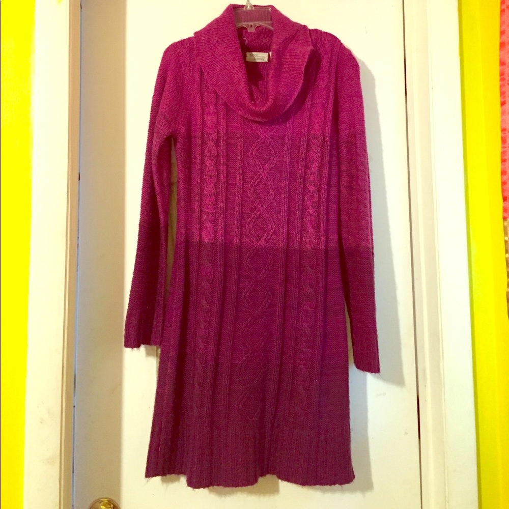 Long Sleeve Turtle Neck Dress