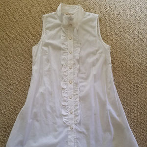 Anthropologie Blue Bird Shirting Ruffle Shirt