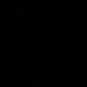 Meet your Posher, Javier