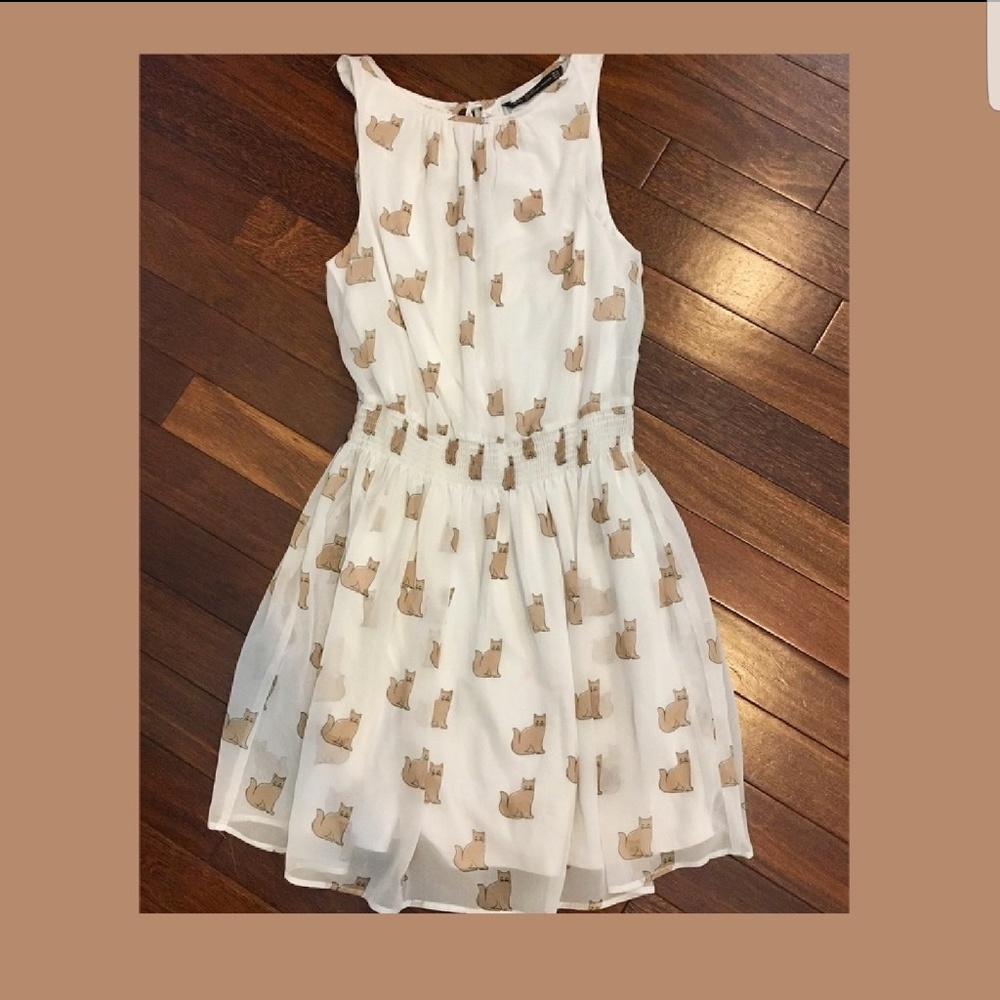 zara dress!