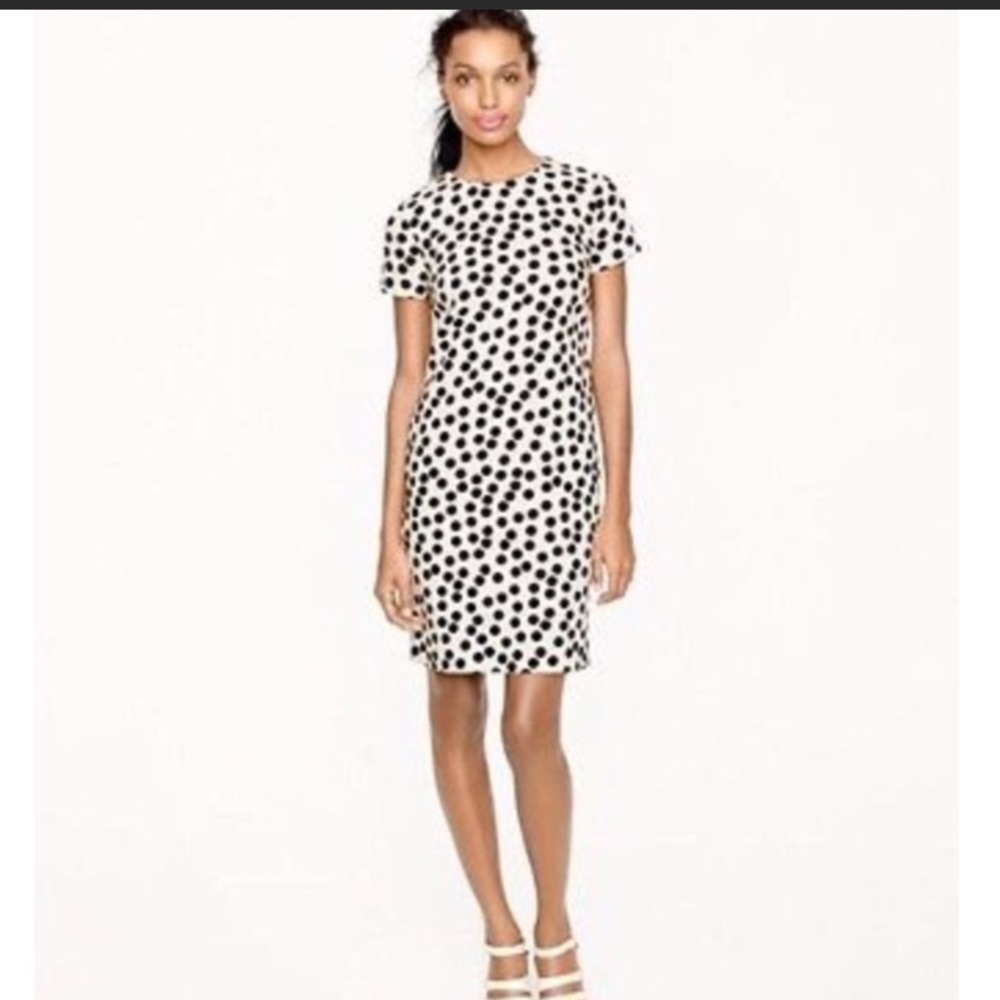 J. Crew Scattered Polka Dot Shift Dress