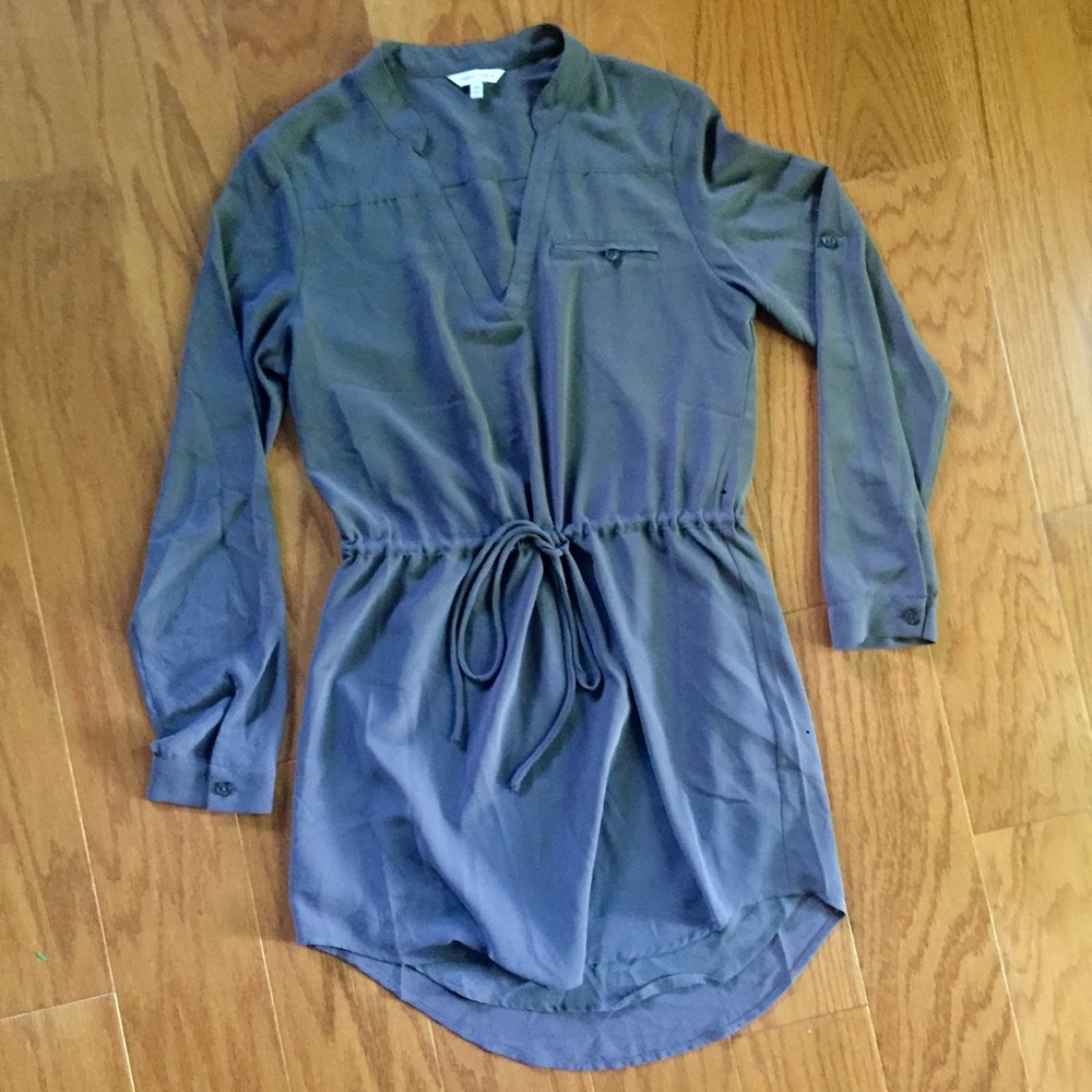 Naked Zebra Casual Shirtdress