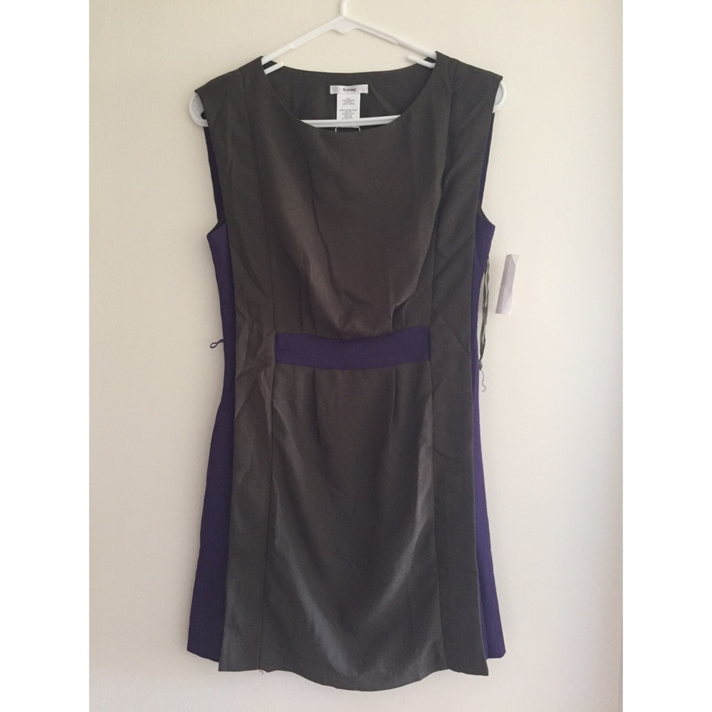 NWT Esley dress with pockets