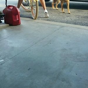 Meet your Posher, Shelly