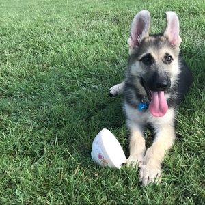 Meet your Posher, Leona