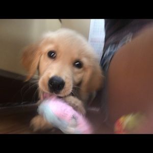 Meet your Posher, Andrew