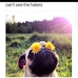 Meet your Posher, Marcy