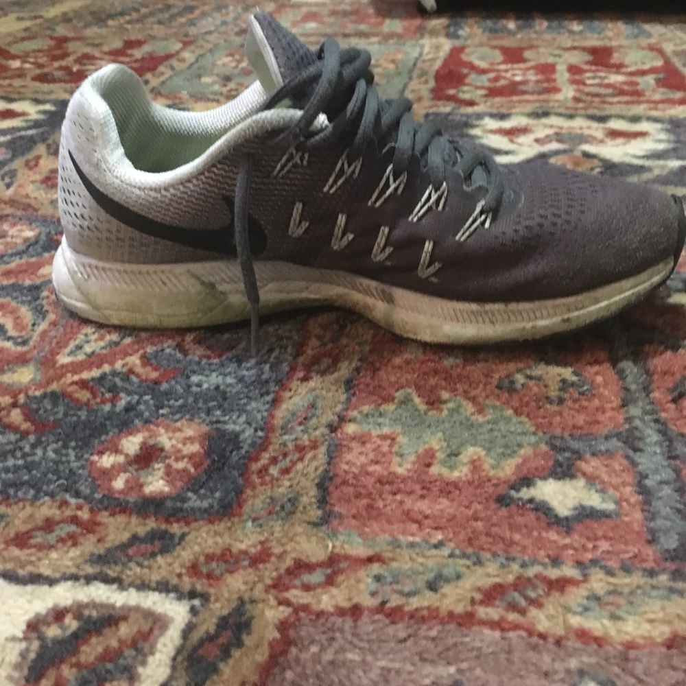 Nike Zoom Pegasus 33