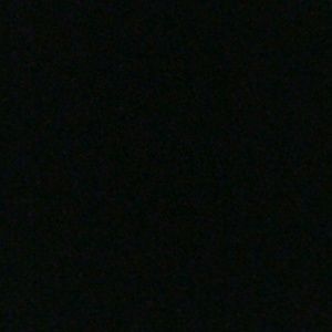 Meet your Posher, Dylan