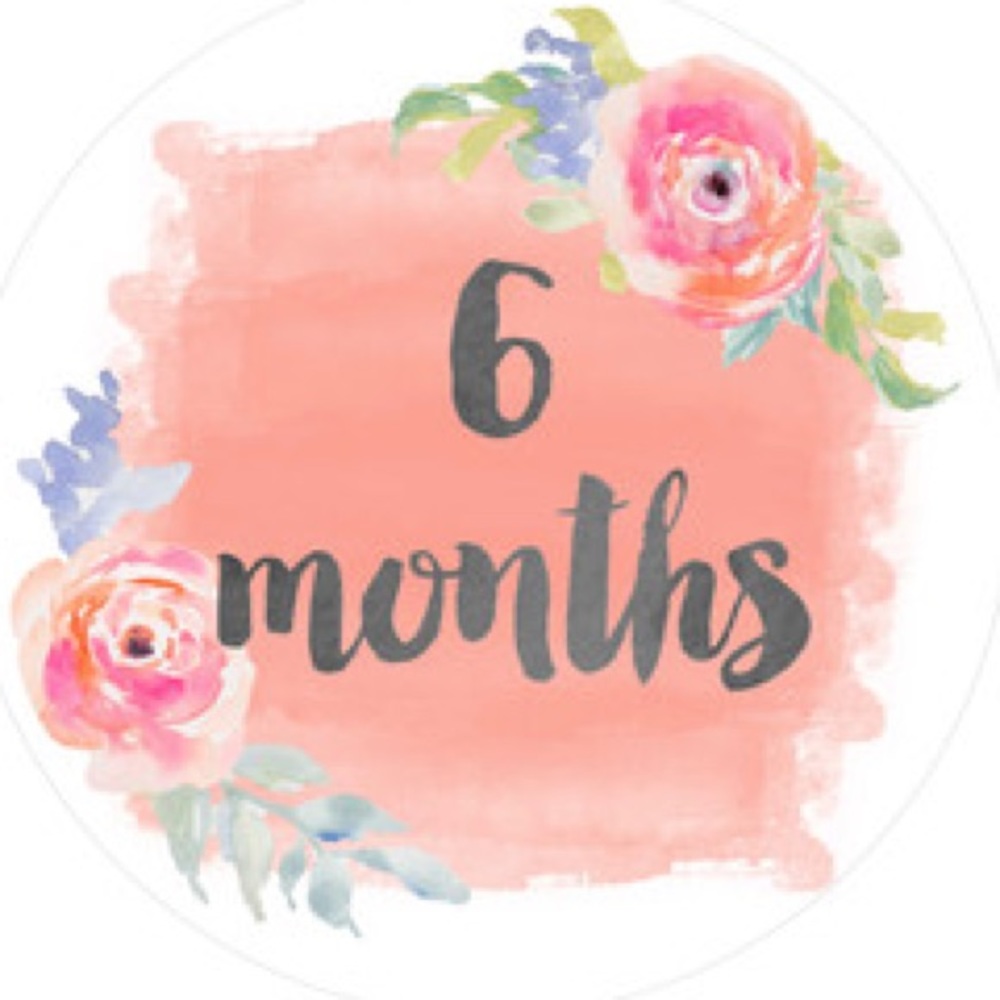 🌺🌸🌺6 Month Baby Girl Clothing🌺🌸🌺