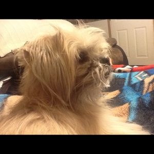 Meet your Posher, Alex