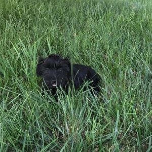 Meet your Posher, Kristen