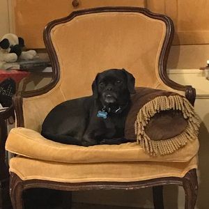 Meet your Posher, Spencer
