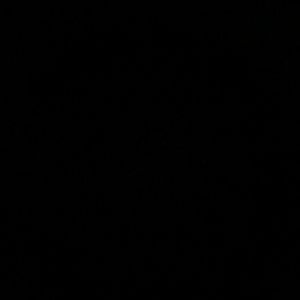 Meet your Posher, Bryant