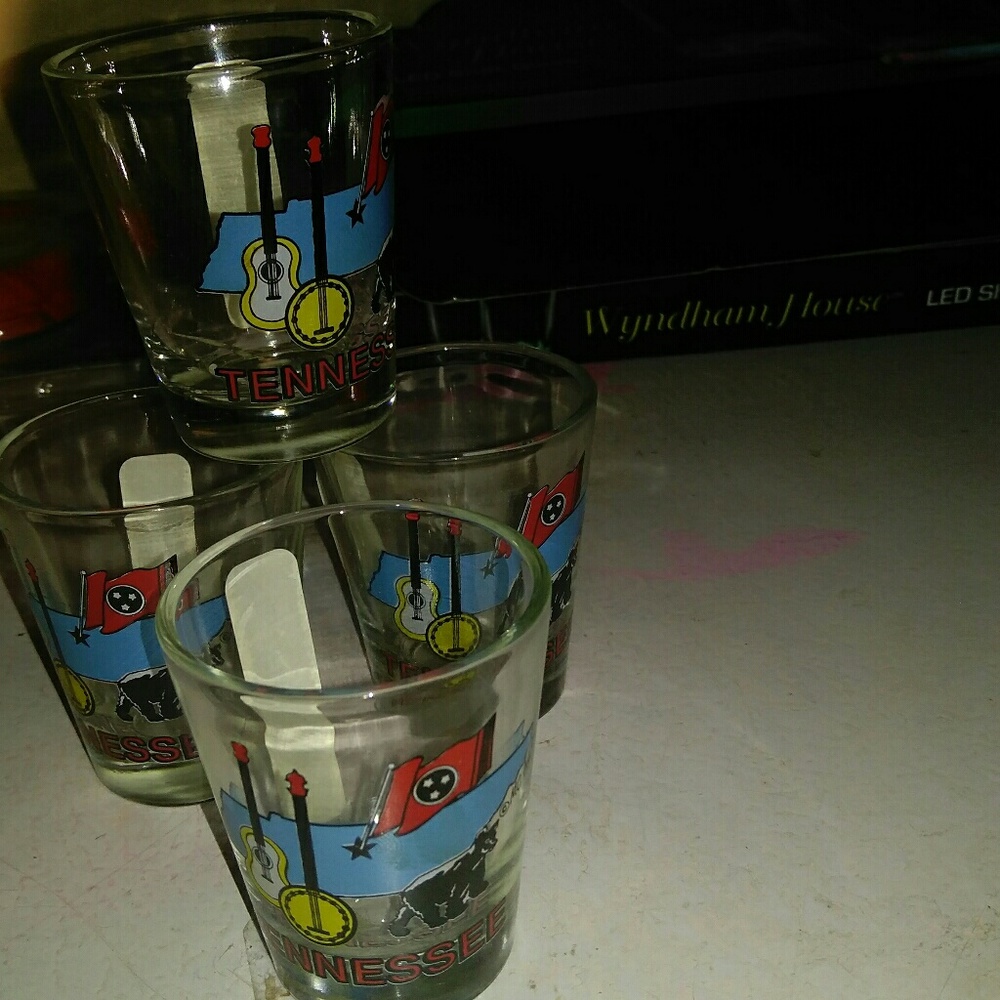 TENNESSEE SHOT GLASSES
