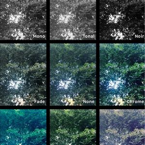 Meet your Posher, Ella