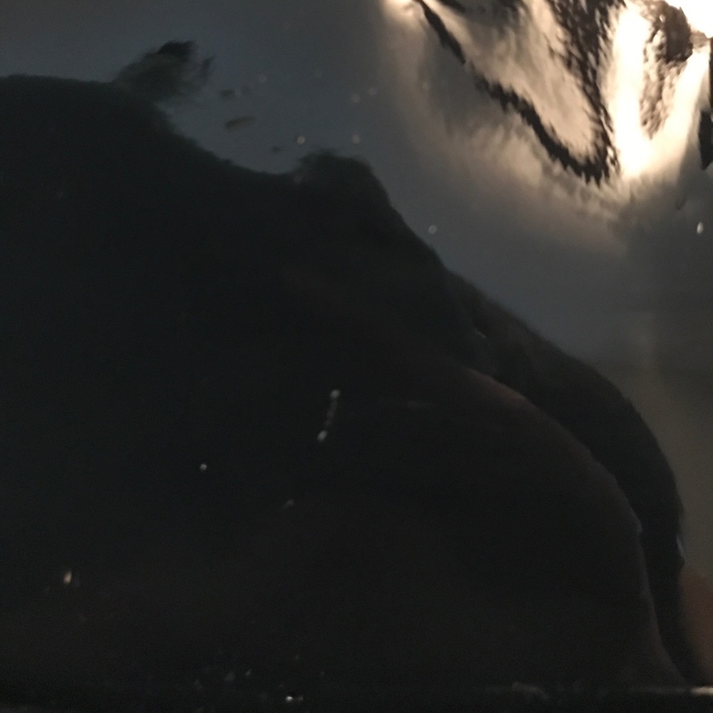 •🥳🥳host pick🥳🥳Coach Sophia• - Picture 3 of 3