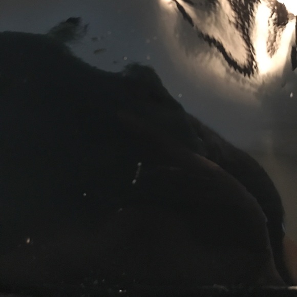 •🥳🥳host pick🥳🥳Coach Sophia• - Picture 3 of 3