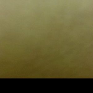 Meet your Posher, Martina