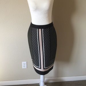 Ann Taylor Pencil Skirt - Size 0